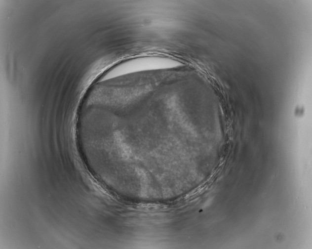 X0000098180242200805221544