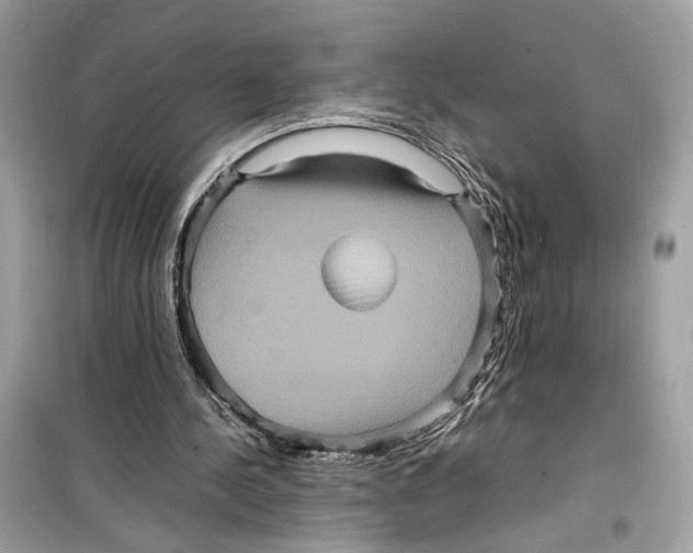 X0000098180244200805221544