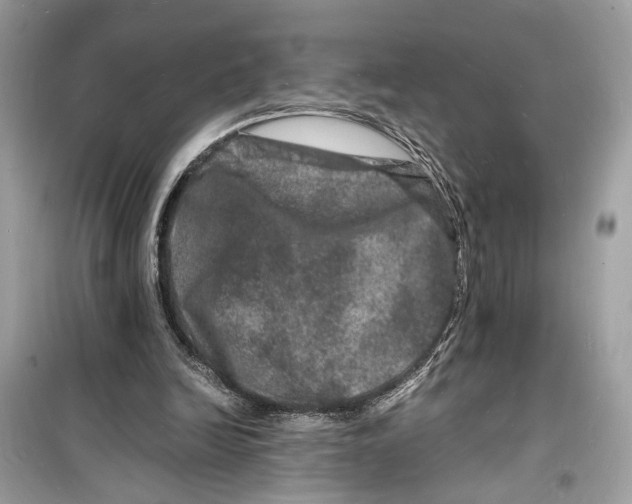 X0000098180246200805221544