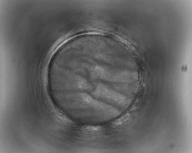 X0000098180247200805221544