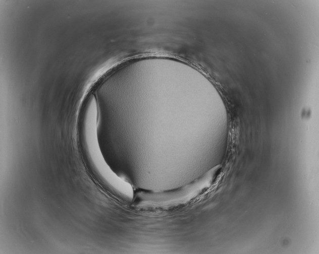 X0000098180248200805221544