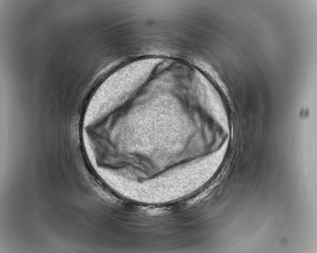 X0000098180249200805221544