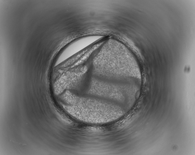 X0000098180250200805221544