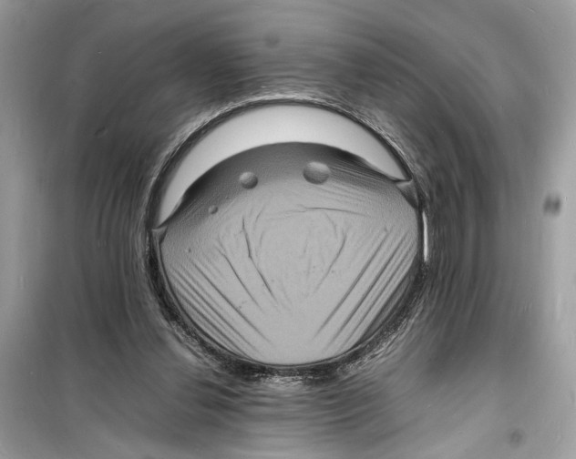 X0000098180252200805221544