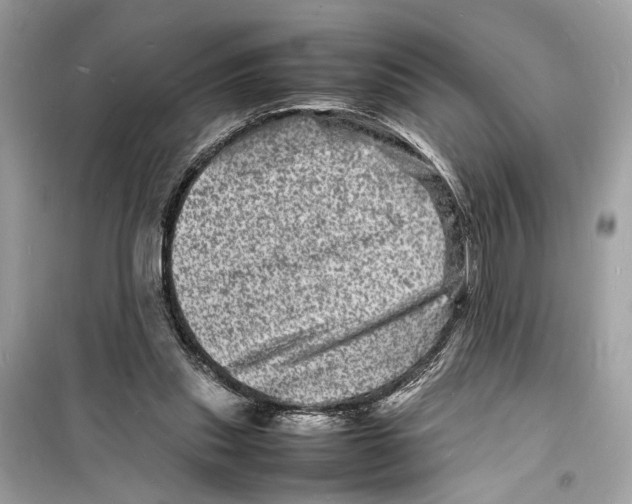 X0000098180253200805221544