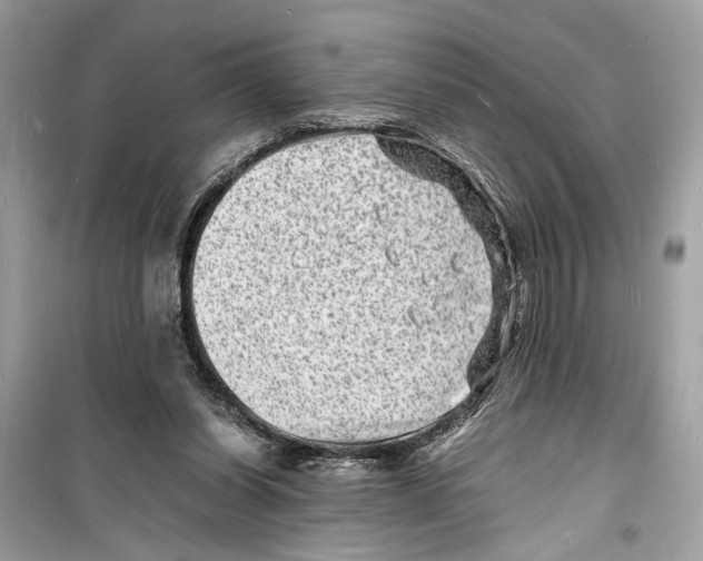 X0000098180254200805221544