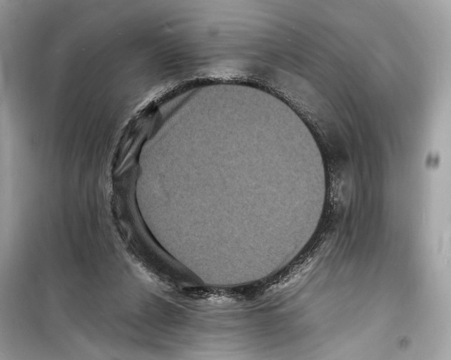 X0000098180256200805221544