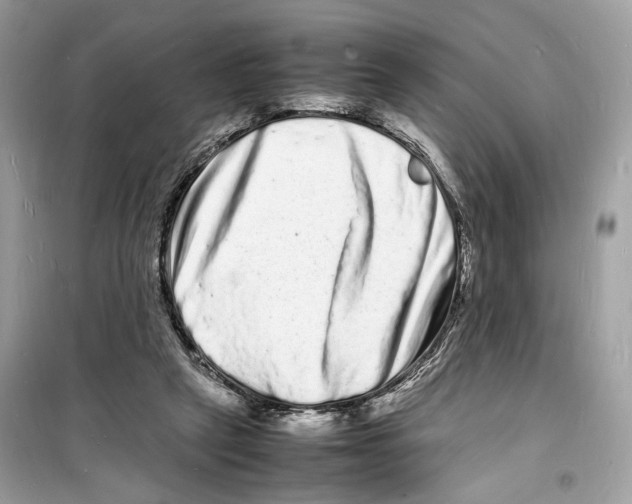 X0000098180257200805221544