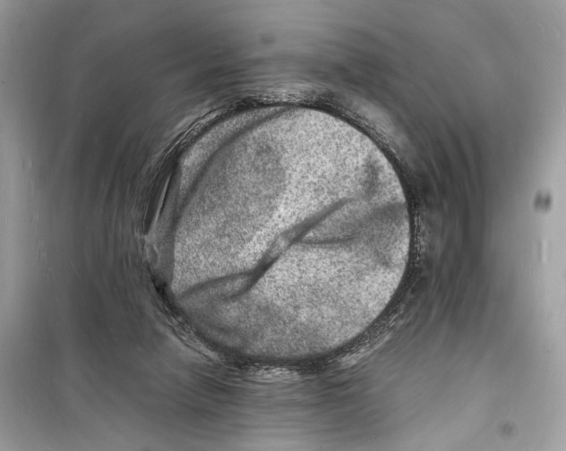 X0000098180258200805221544