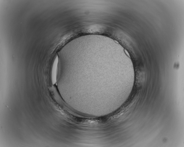 X0000098180260200805221544