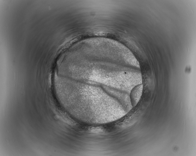 X0000098180262200805221544