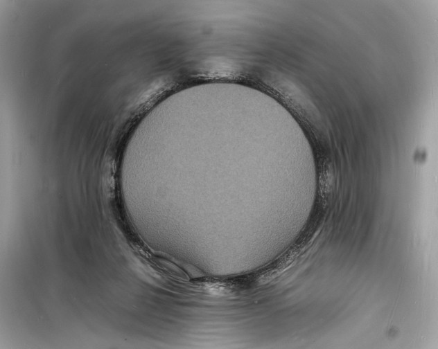 X0000098180264200805221544