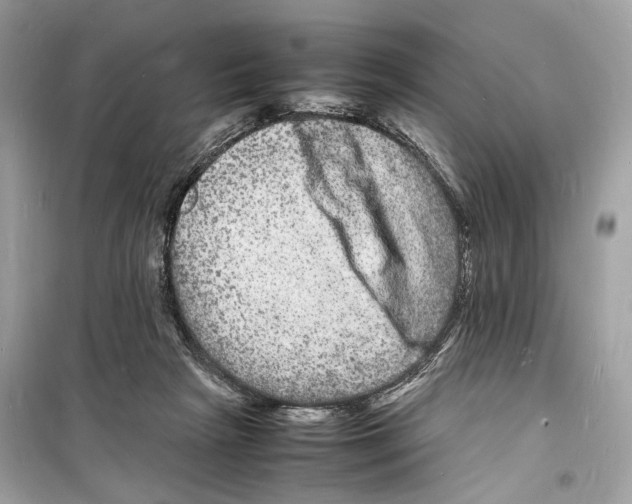 X0000098180265200805221544