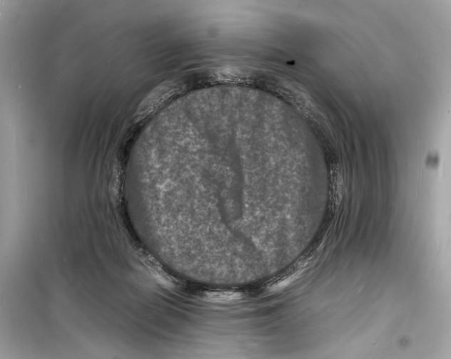 X0000098180266200805221544