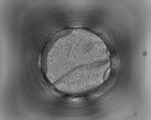 X0000098180267200805221544