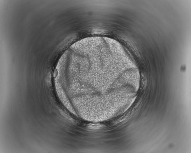 X0000098180269200805221544