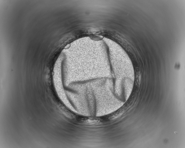 X0000098180270200805221544