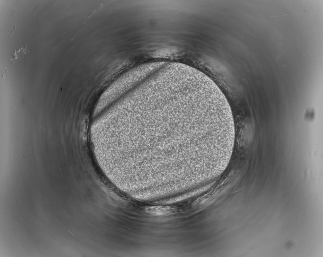 X0000098180273200805221544