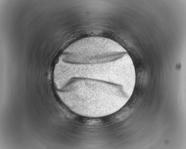 X0000098180274200805221544