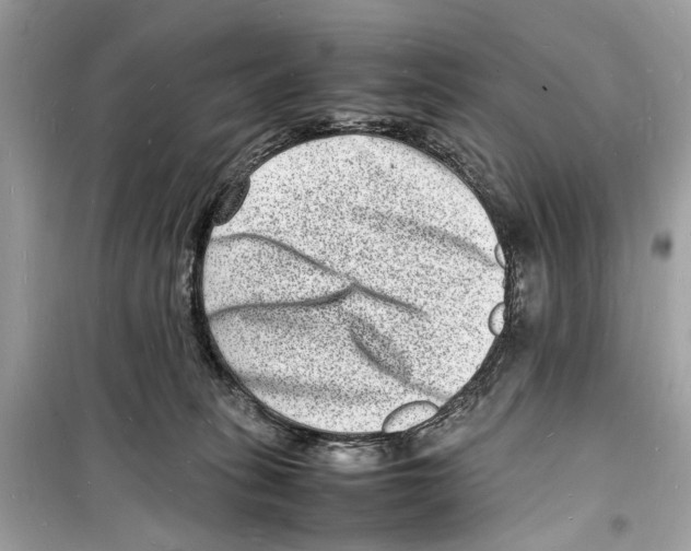 X0000098180275200805221544