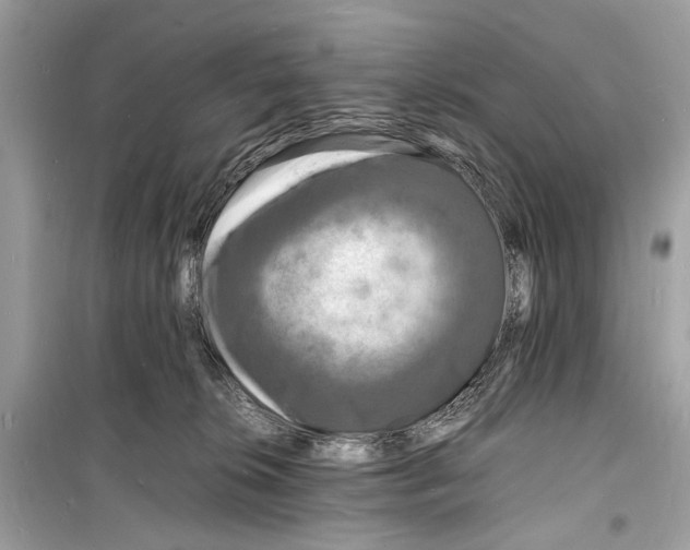 X0000098180276200805221544