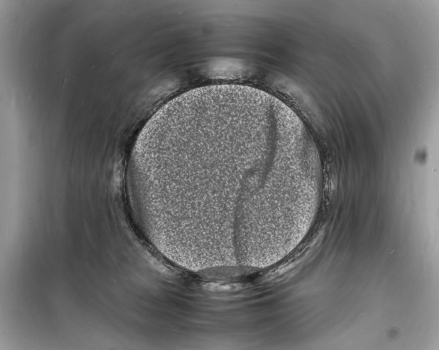 X0000098180277200805221544