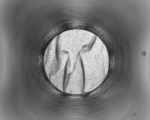 X0000098180278200805221544