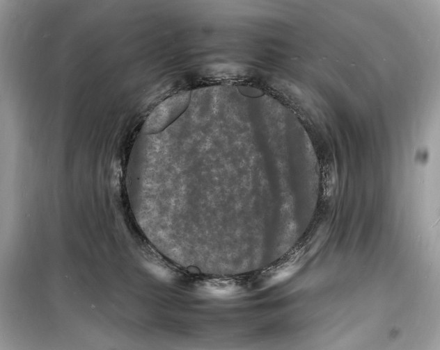 X0000098180279200805221544