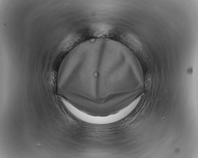 X0000098180280200805221544