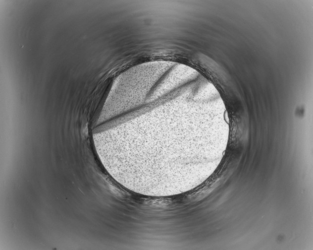 X0000098180282200805221544