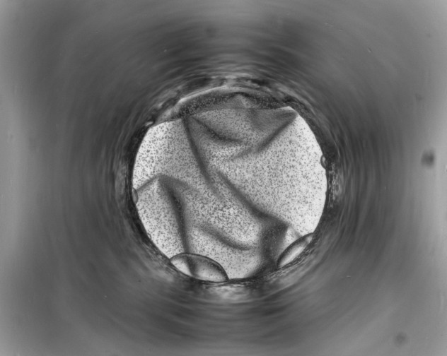 X0000098180283200805221544