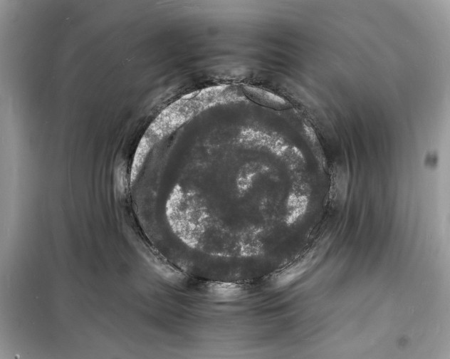 X0000098180287200805221544