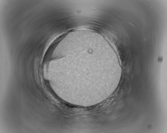 X0000098180289200805221544