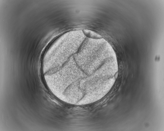 X0000098180290200805221544