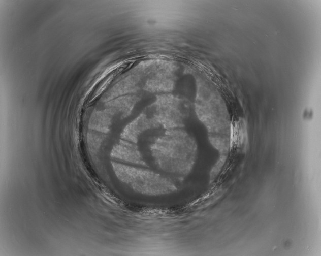 X0000098180291200805221544