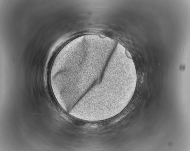 X0000098180294200805221544