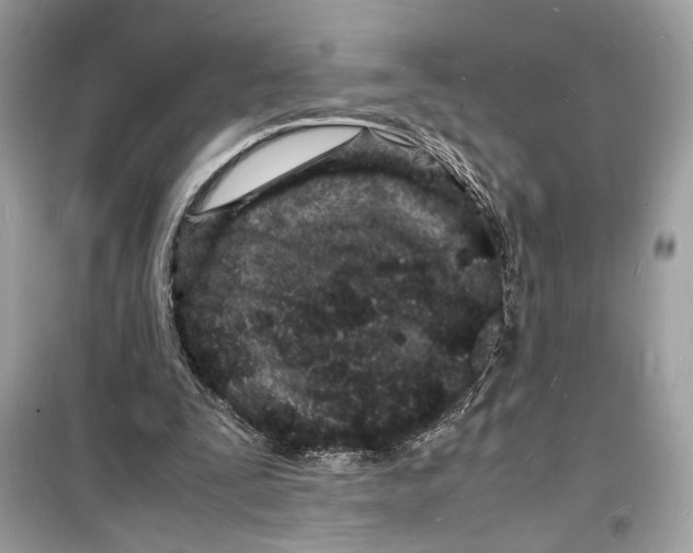 X0000098180295200805221544