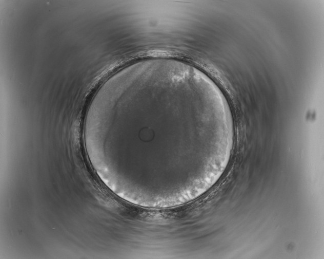 X0000098180297200805221544