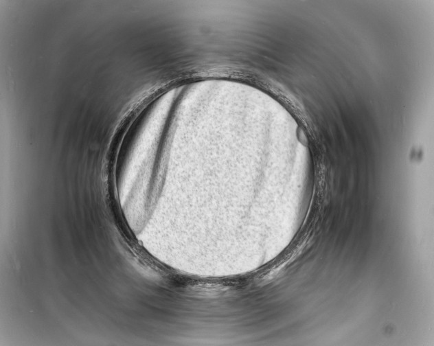 X0000098180298200805221544