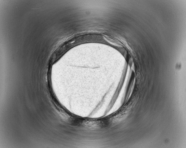 X0000098180299200805221544