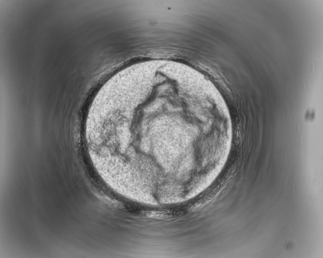 X0000098180303200805221543