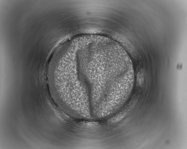 X0000098180304200805221543