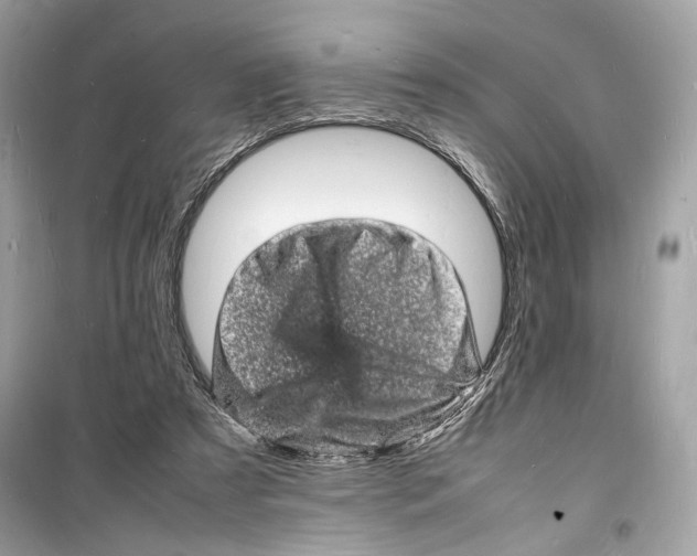 X0000098180305200805221543