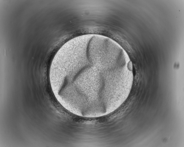 X0000098180306200805221543