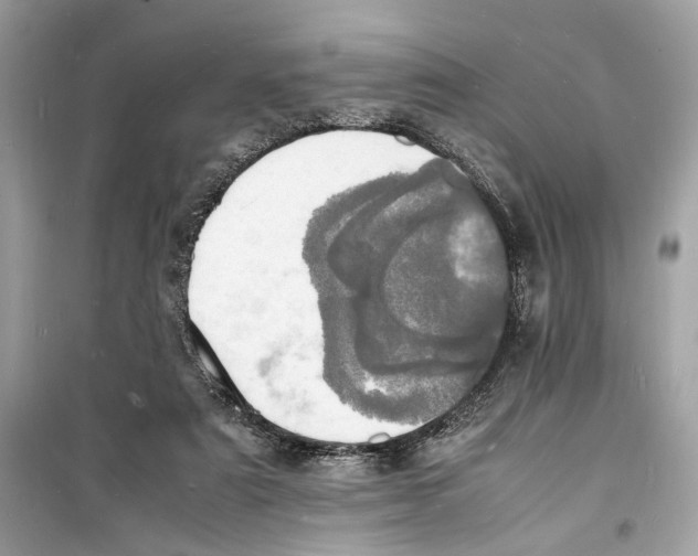 X0000098180307200805221543