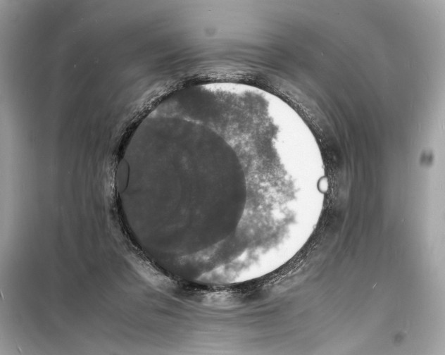 X0000098180309200805221543