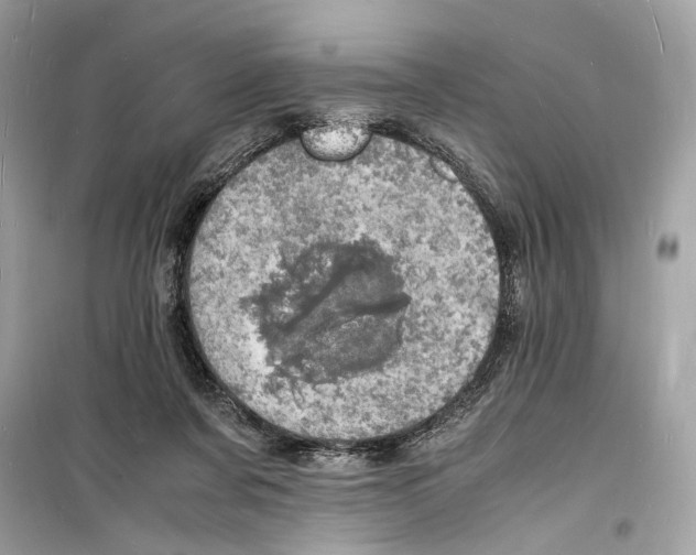 X0000098180311200805221543