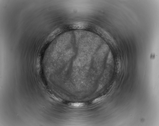 X0000098180312200805221543