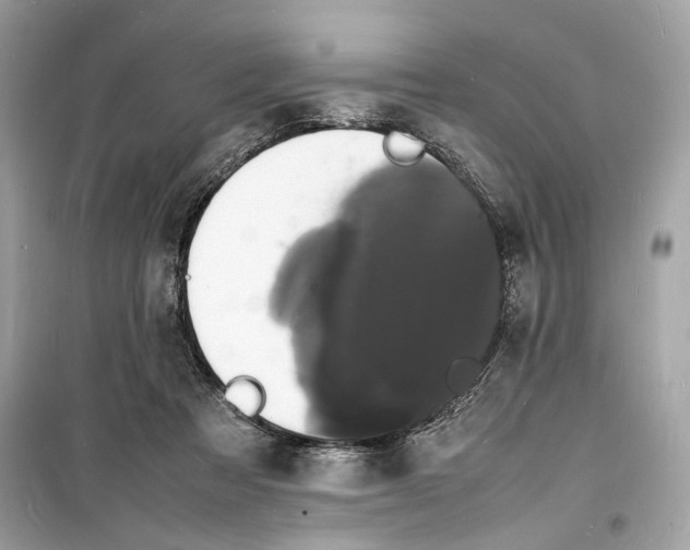 X0000098180313200805221543