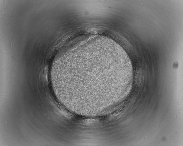 X0000098180314200805221543